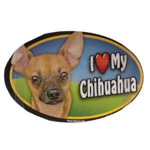  Dog Breed Image Magnet Oval Chihuahua Tan