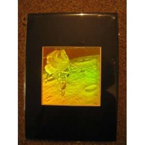   Lander Matted Hologram Picture, Collectible Polaroid Photopolymer Film