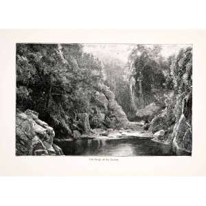  1896 Wood Engraving Gaston Vuillier Gorge Taravo Landscape 
