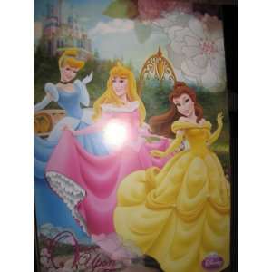 Disney 3 Princess (20 X 30) Wall/room Poster Once Upon a 