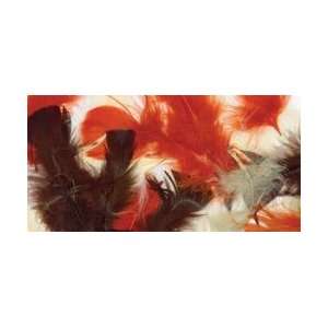  Zucker Feather Turkey Plumage Feathers .5 Ounces Assorted 