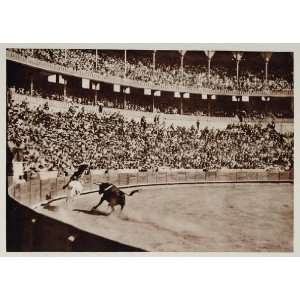  1928 Corrida de Toros Bullfight Bullfighting Bull Spain 