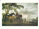 ARTIST GEORGE STUBBS HORSE POSTCARD   MARES AND FOALS I