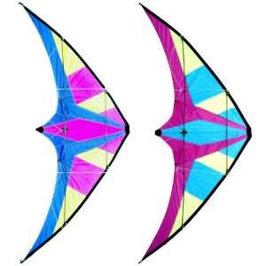    2 Dual Line Control 81 Stunt Kite Sport Kites 