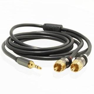   Stereo Male to RCA Male Y Cable (6 Feet, Black) Explore similar items