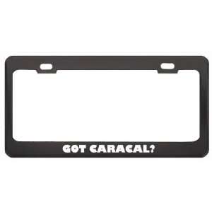  Got Caracal? Animals Pets Black Metal License Plate Frame 