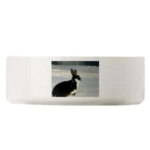  Look Out Nature Large Pet Bowl by 
