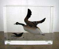 Acrylic Art Geese Goose Canada Paper Weight Sculpture  