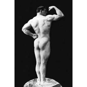  Statuesque Back and Arm Curl   Poster (12x18)