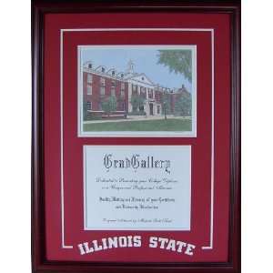  Illinois State Diploma Frame