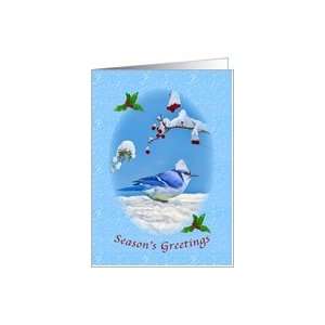  Christmas, Seasons Greetings, Blue Bird and Snow Card 