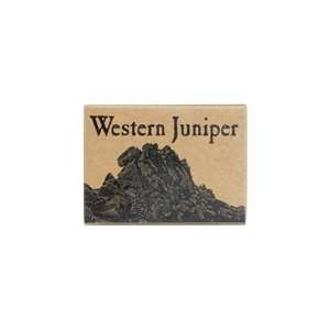  Soaps Western Juniper Beauty