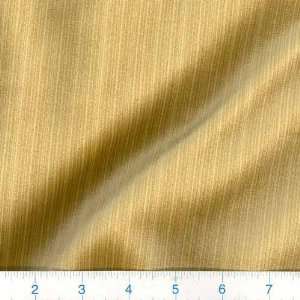  58 Wide Cotton Velvet Fabric Golden Stria By The Yard 