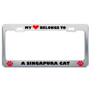 My Heart Belongs To A Singapura Cat Animals Pets Metal License Plate 
