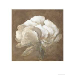  Tawny Peony Giclee Poster Print by Rich Wilder, 24x32 