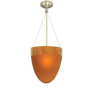  lamp   AM   amber, BZ   bronze, halogen, 110   125V (for use 