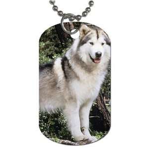 Siberian husky dog Dog Tag with 30 chain necklace Great Gift Idea