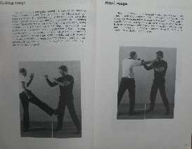 1984 jeet kune do entering to trapping to grappling by
