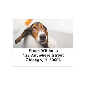  Beagle Contentment Address Labels