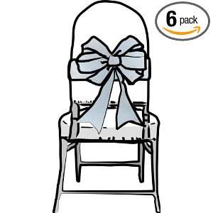  White Sheer Organza for Chair Bows   Set of 6 Health 