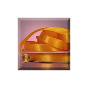  1ea   3/8 X 100yd Copper Shimmer Satin Ribbon Health 