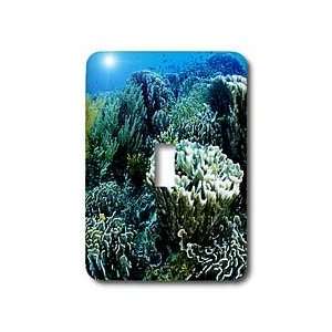  VWPics Oceans   Coral reef   Light Switch Covers   single 