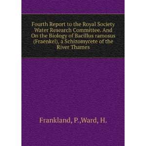  Schizomycete of the River Thames P.,Ward, H. Frankland Books