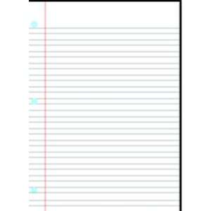   17 Pack CREATIVE TEACHING PRESS CHART NOTEBOOK PAGE 