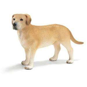 Schleich #16387 Labrador Retriever Male, Toy Collectible Dog  