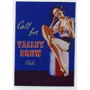  Valley Brew Beer   Metal Counter Display Sign Everything 