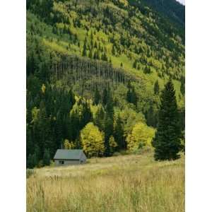  Fall Colored Aspen Trees and an Old Cabin at the Foot of a 