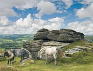 Ravensbrger Horses in Dartmoor National Park Jigsaw Puzzle   2000 pc 