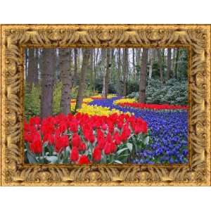  Picture Frame Gold Compo w/ Red  2 wide