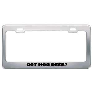 Got Hog Deer? Animals Pets Metal License Plate Frame Holder Border Tag