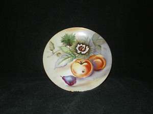 UCAGCO China Signed Decorator Fruit Plate with/wall hanger 