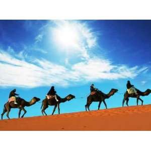  Caravan in Sahara Desert   Peel and Stick Wall Decal by 