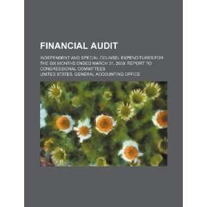  Financial audit independent and special counsel 
