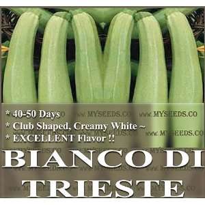  1 oz (200+) BIANCO DI TRIESTE ZUCCHINI ~ HALF LONG WHITE 