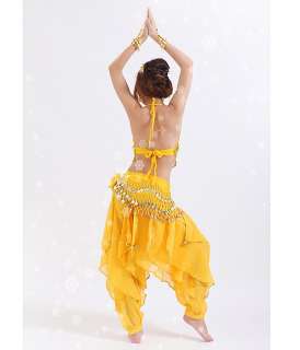 New Belly Dance Costume Top & Pants & Waist Link H2665  