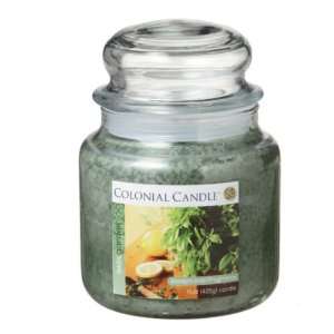  Pack of 4 Basil Garden Aromatic Jar Candles 15oz