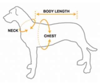 Lovable Dog Life Presaver Flotation Safety Jacket Vest Large ( L 