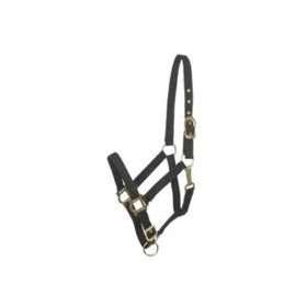   Catalog Category Equine Tack & Other EquipmentHALTERS & LEADS NYLON
