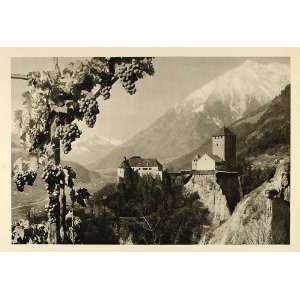  1935 Merano Meran Italy Town Grapes Mountains Landscape 