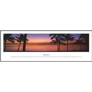  Paradise Panoramic View Framed Print
