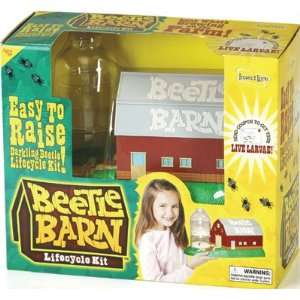  Insect Lore   Mealworm Beetle Barn Toys & Games