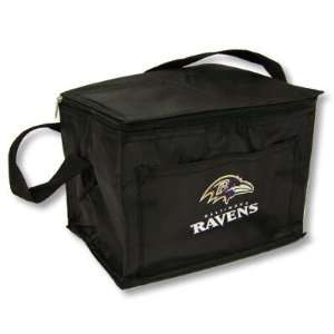   Raven Insulated Lunch Tote / 6 Pack Cooler