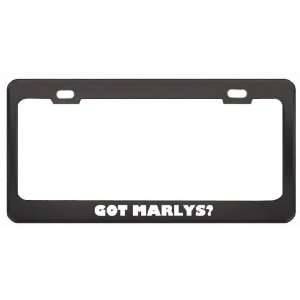 Got Marlys? Girl Name Black Metal License Plate Frame Holder Border 