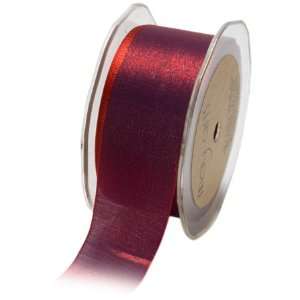   Inch Wide Ribbon, Red and Blue Iridescent Arts, Crafts & Sewing