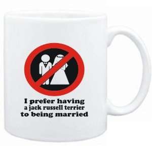   Jack Russell Terrier TO BEING MARRIED   Dogs