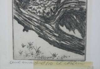 Owl on a Limb Etching 1 of 10 Signed Numbered and Titled by Artist 